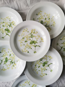 Piatti fiori gialli Ginori