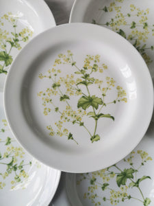 Piatti fiori gialli Ginori